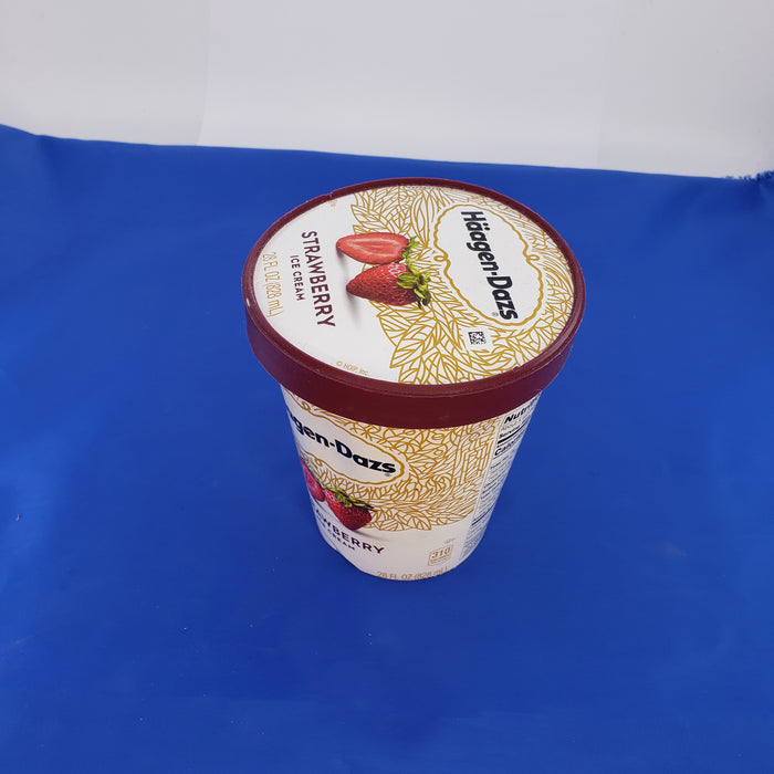 Faux Ice Cream Carton