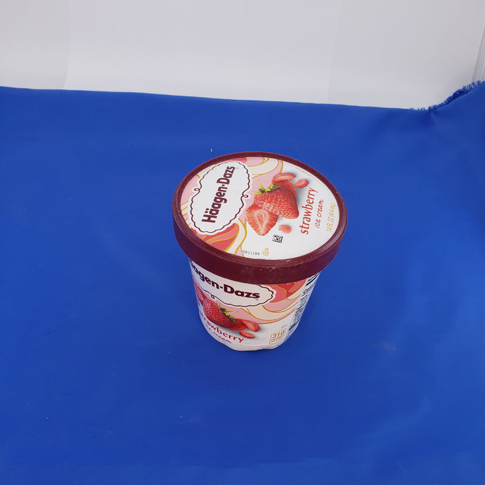 Small Faux Ice Cream Carton