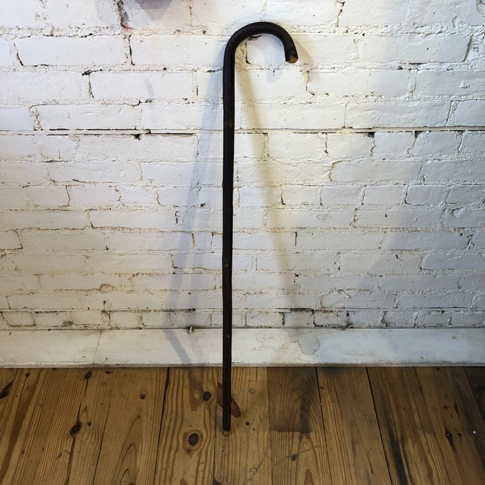 Walking Stick /Cane