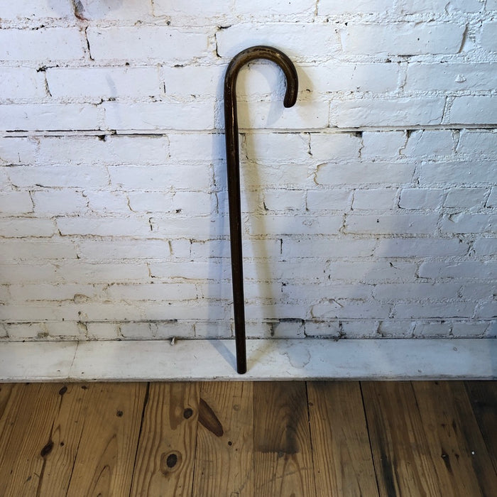 Walking Stick /Cane