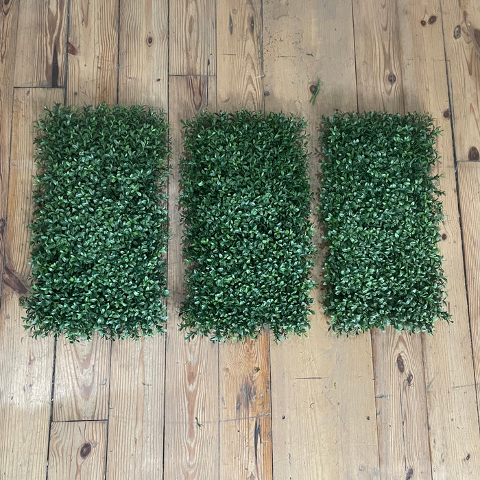 Assorted Foliage - Boxwood Pieces