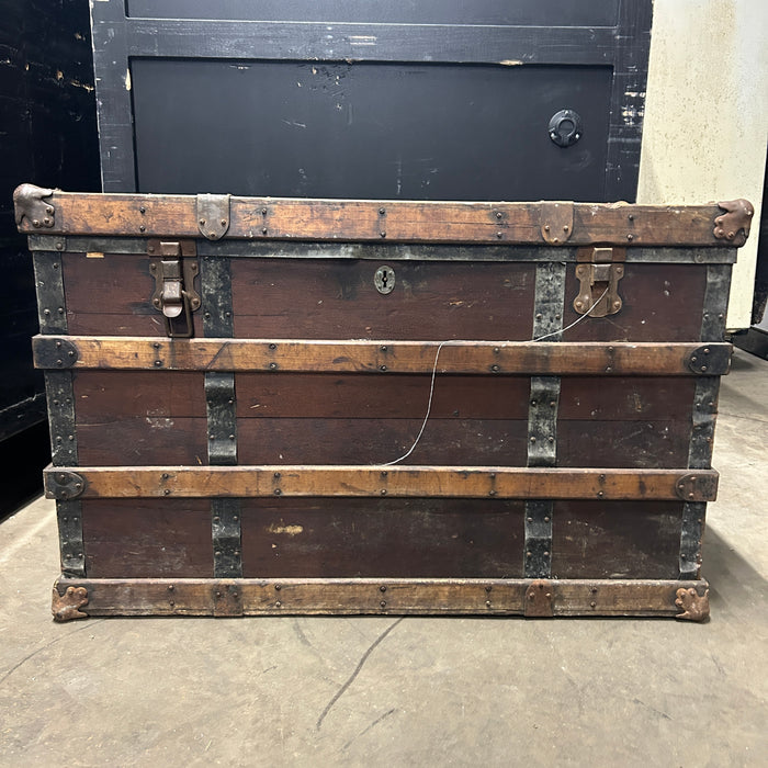 Trunk/Chest