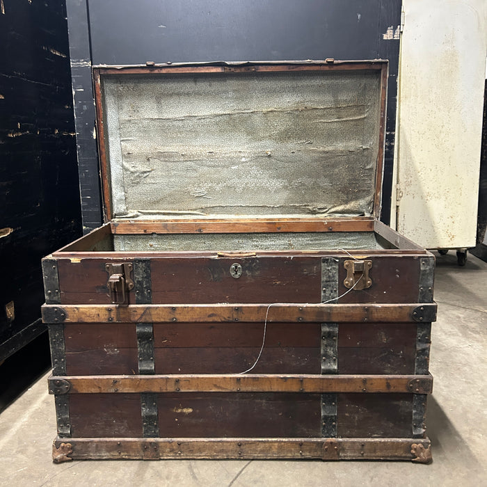 Trunk/Chest