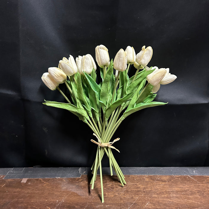 Tulip Bundle