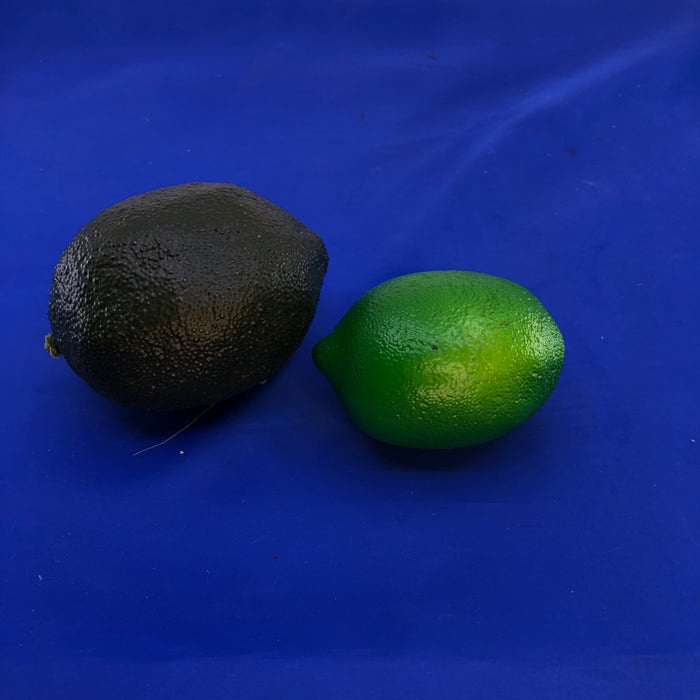 Limes