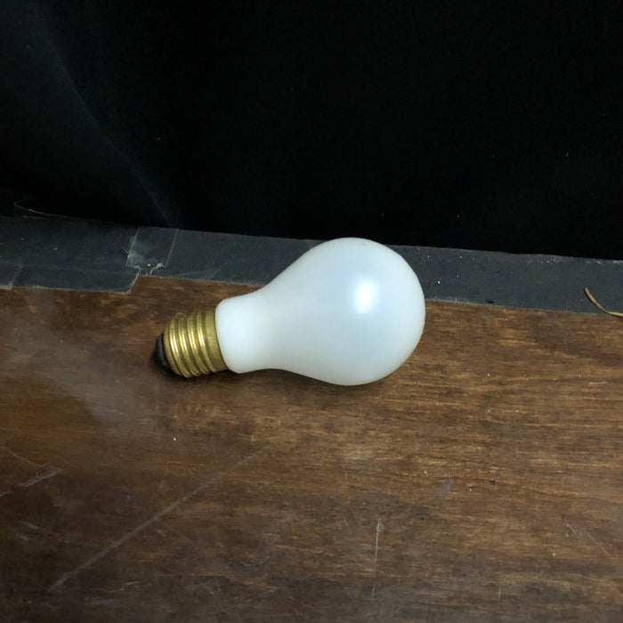 Plastic lightbulb