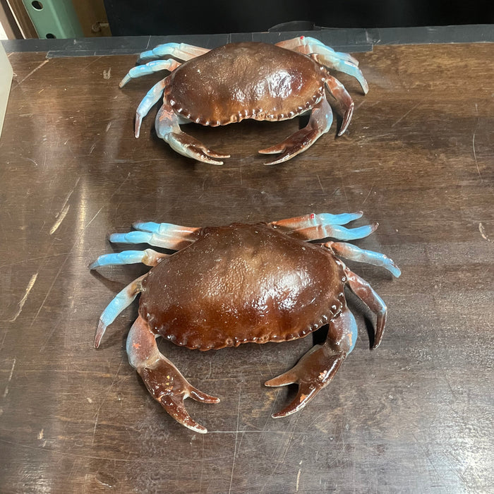 Crab