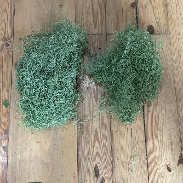 Assorted Foliage - Plastic Moss