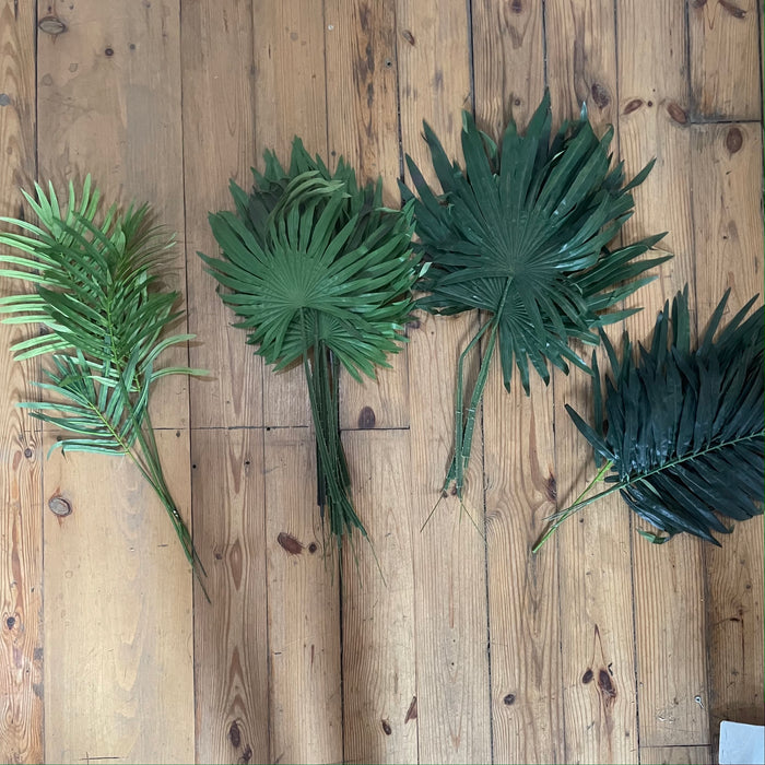 Assortment of Tropical Plant Leaves