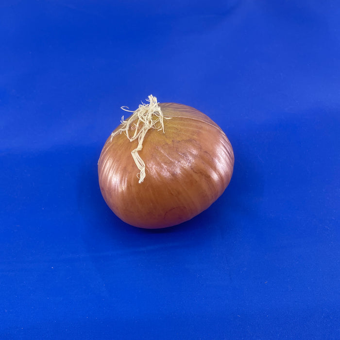 Onion