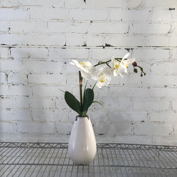 Flower Bouquets/Vase