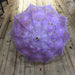 Parasol purple 3