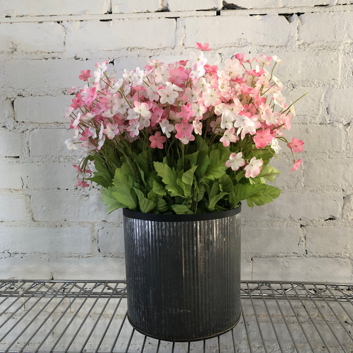 Potted Flowers/Plant