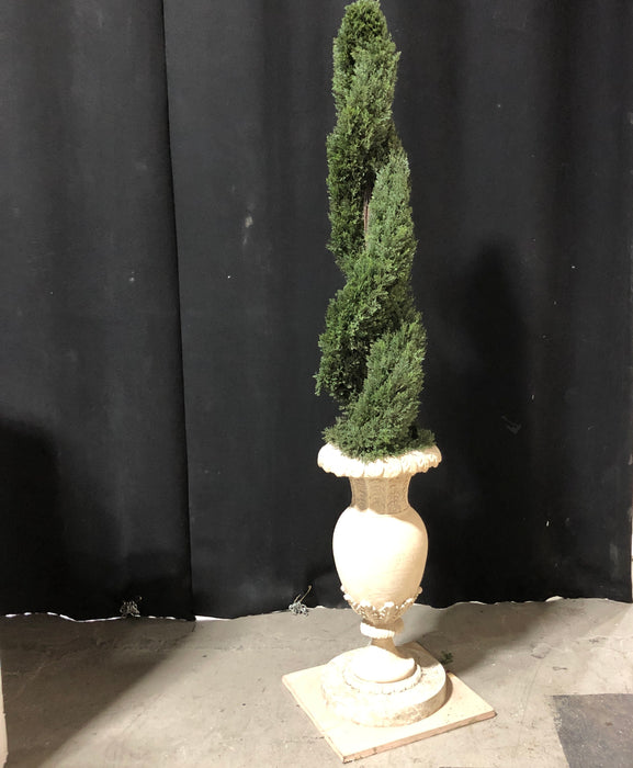 Spiral Topiary with Planter