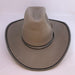 Stetson Cowboy Hat 2
