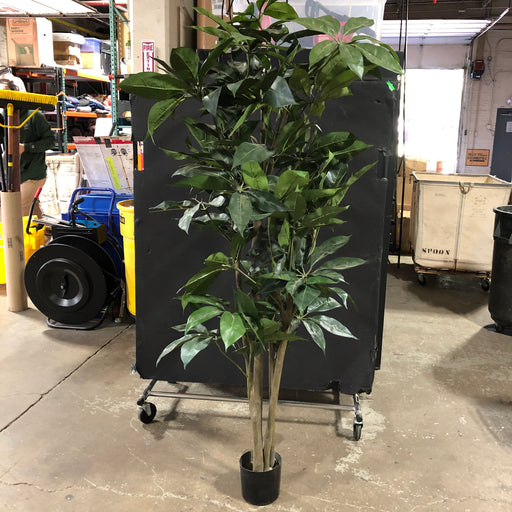 Tall Green Potted Plant