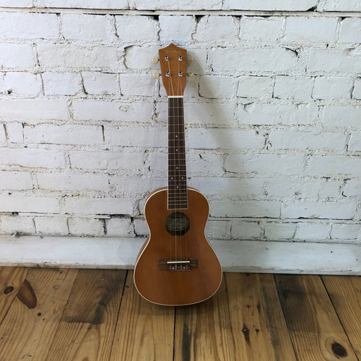 ukulele 2